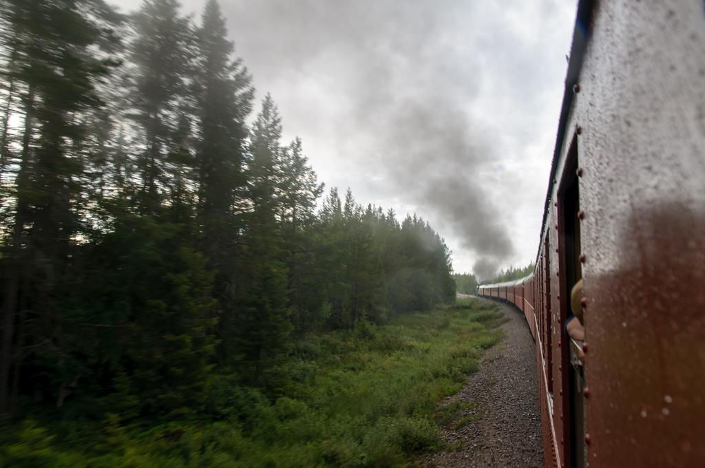 Wildact Adventure Ab Pensionat Storberg Eksteriør billede