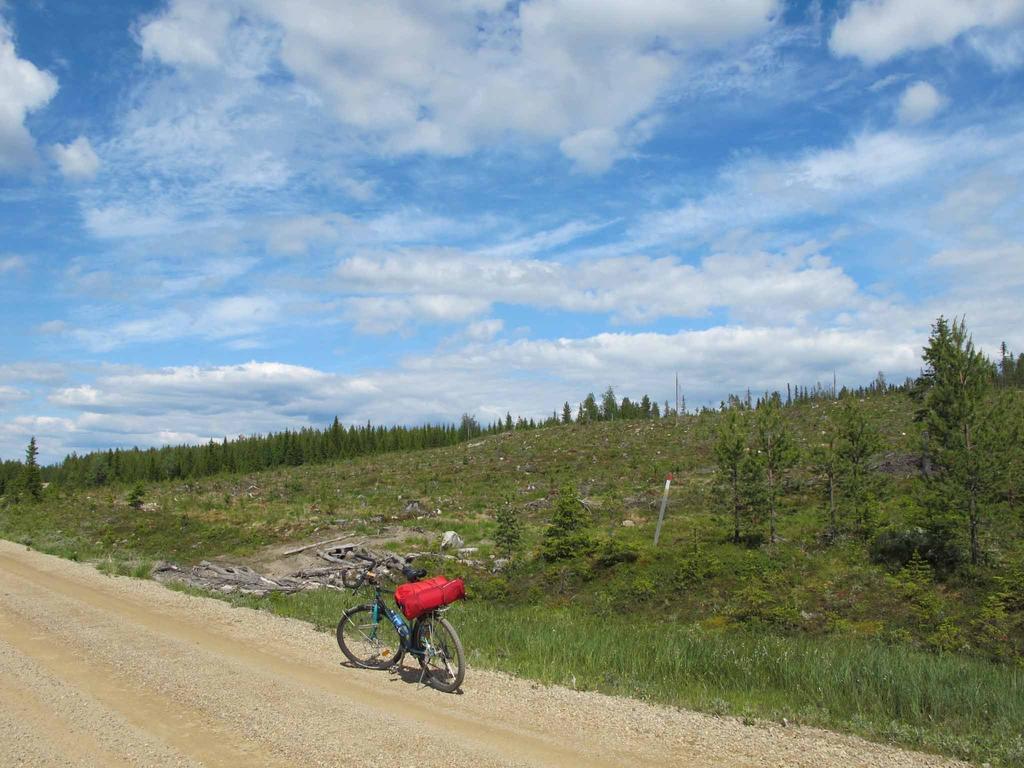 Wildact Adventure Ab Pensionat Storberg Eksteriør billede